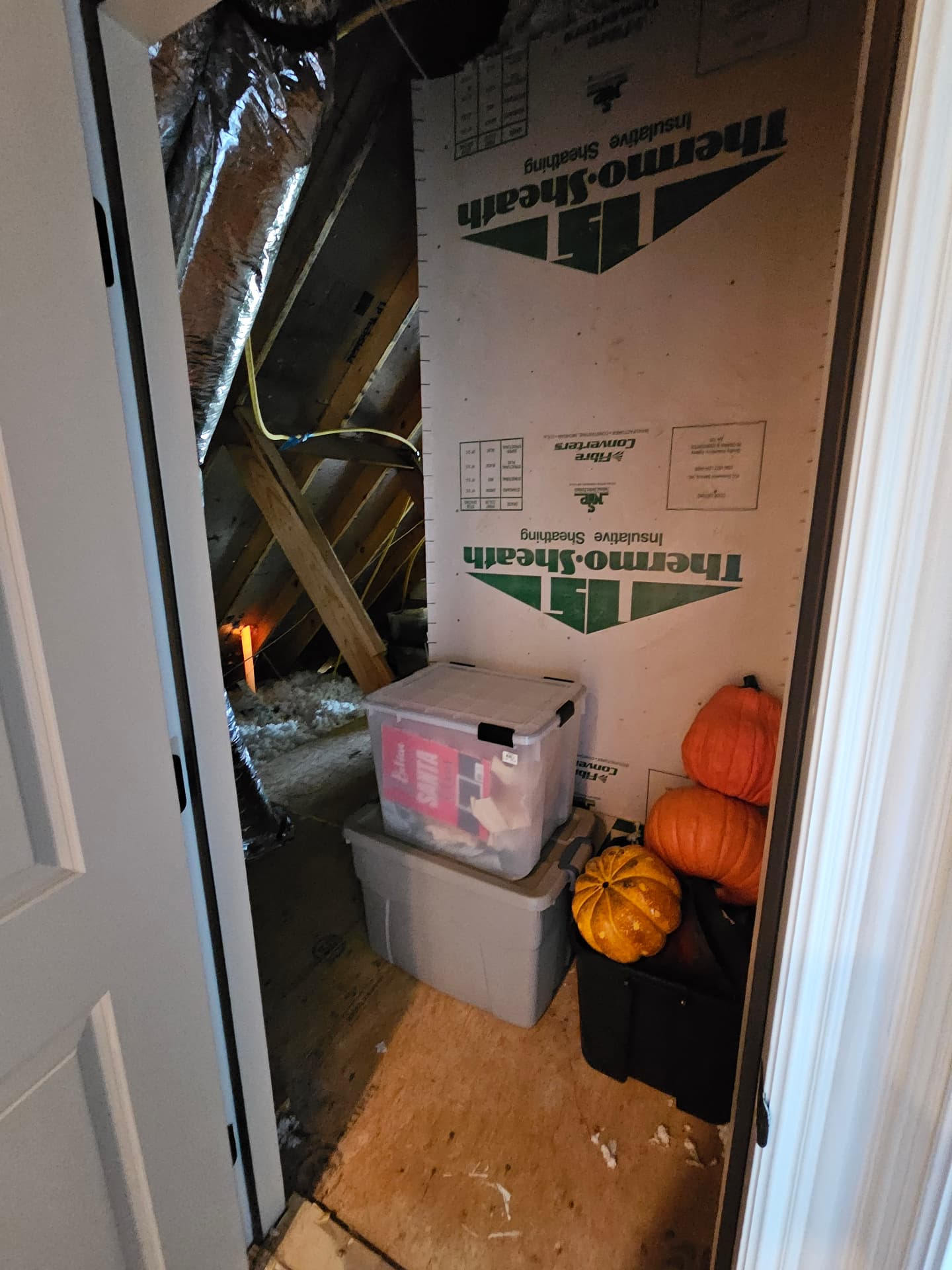 Grapevine attic before conversion — storage closet with insulative sheathing