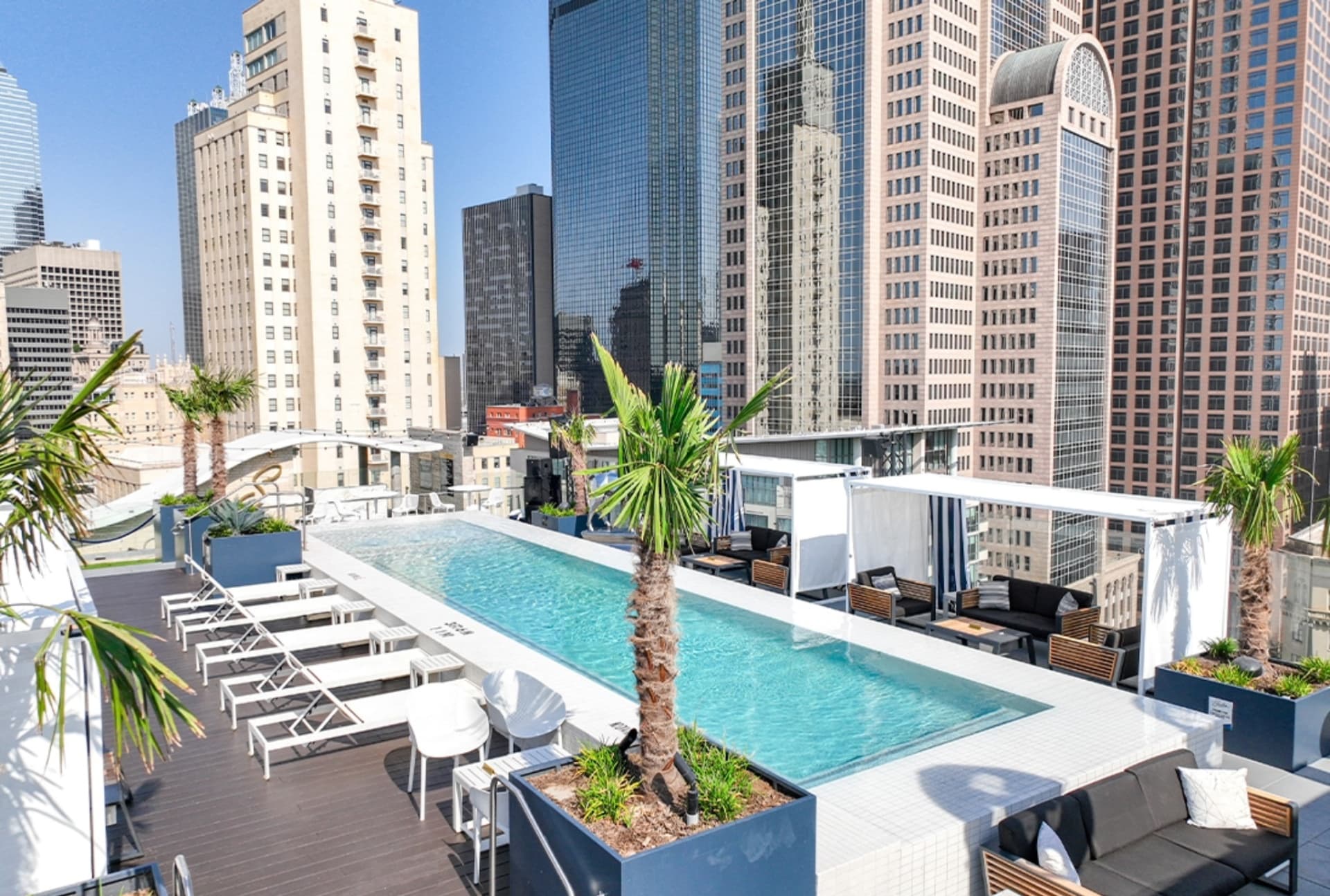 Waterproof rooftop pool with palm trees and downtown Dallas skyline
